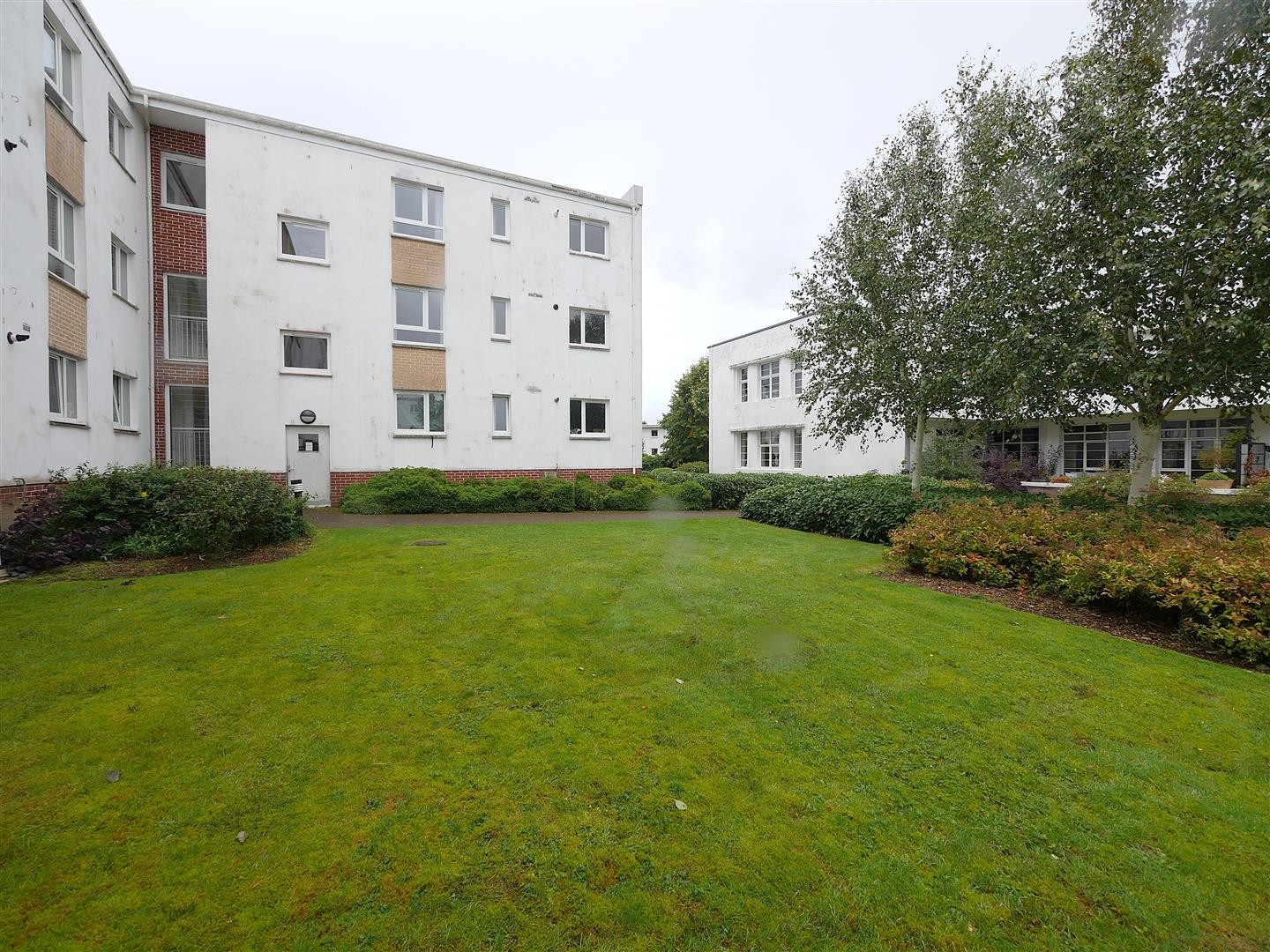 Cairnhill View,Bearsden image 8