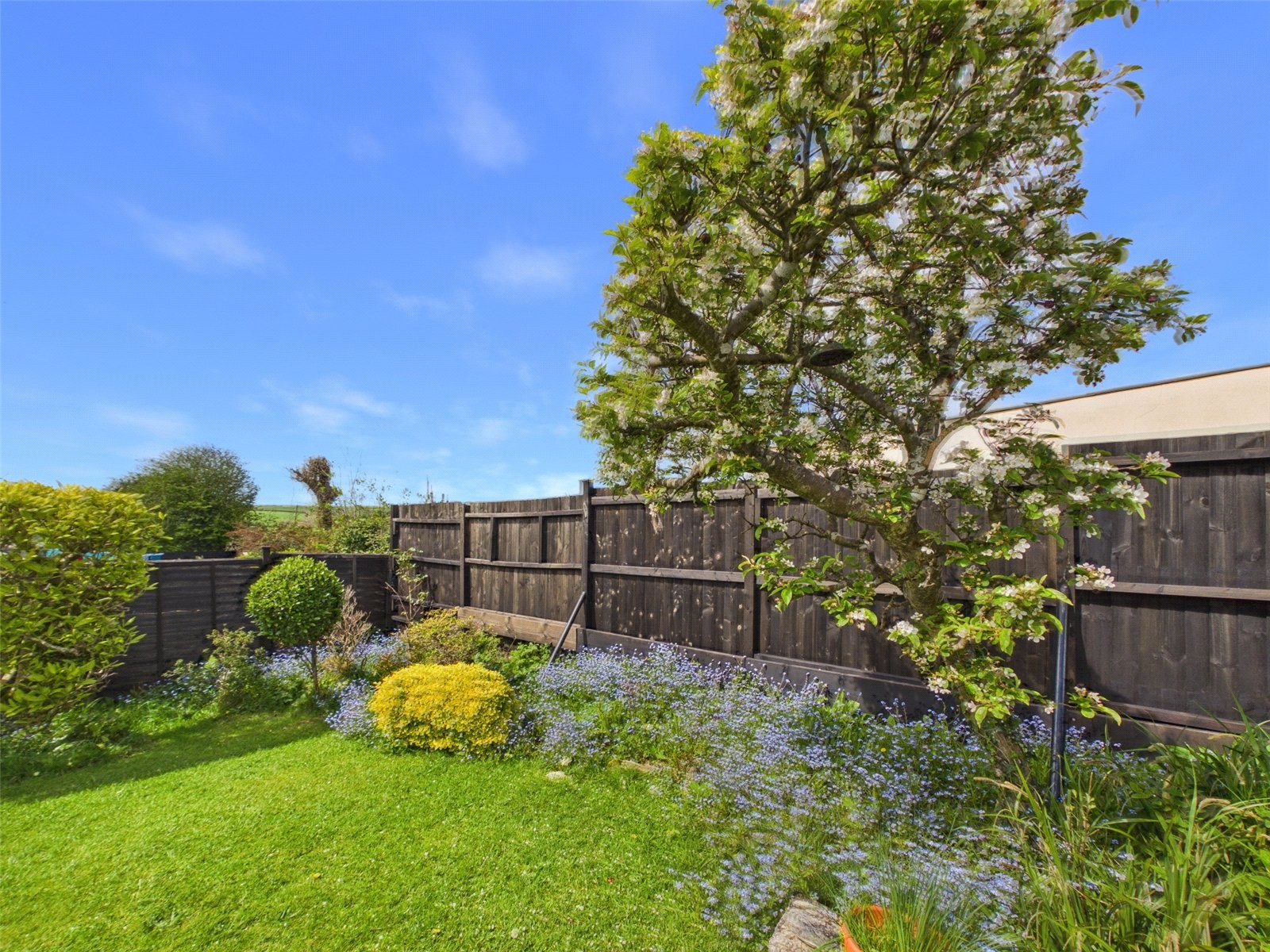 Trehannick Close, St. Teath, Bodmin image 22