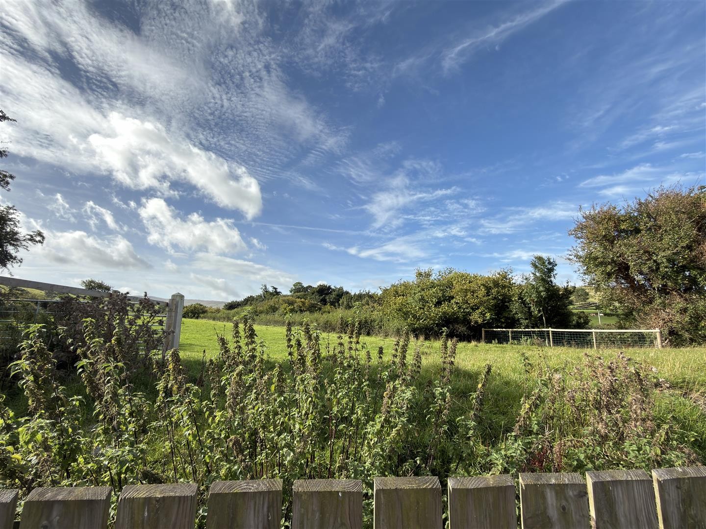 Cairn Grove, Kilcoo, Newry image 24