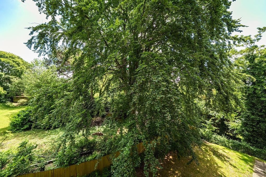 West Hill, Sanderstead image 29