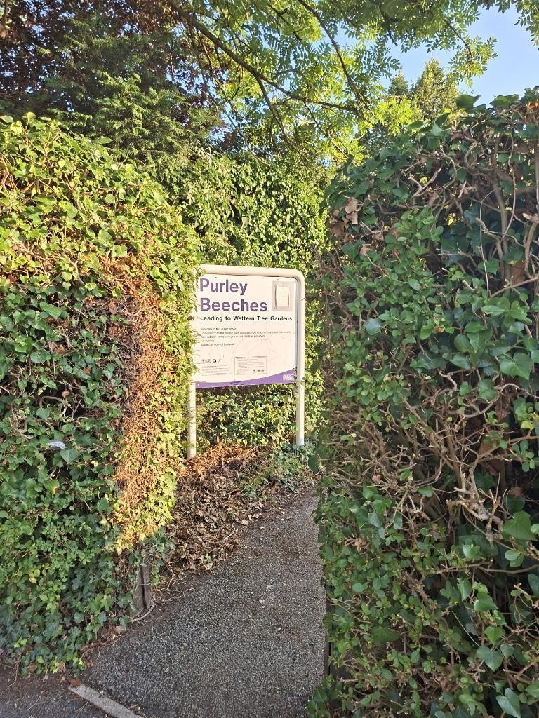 Purley Oaks Road, Sanderstead image 32